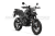 RM000443434.2 RM000443434.2