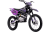 bse_z2l_purple_2118_2