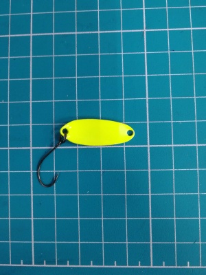 IMG_20260207_105416