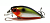 image - 2023-12-23T143814.757
