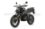 RM000443434.3 RM000443434.3